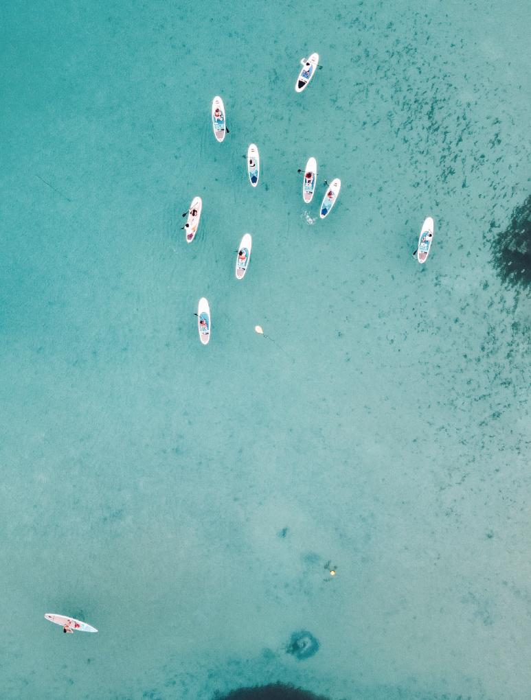 Comprometidos con el mar